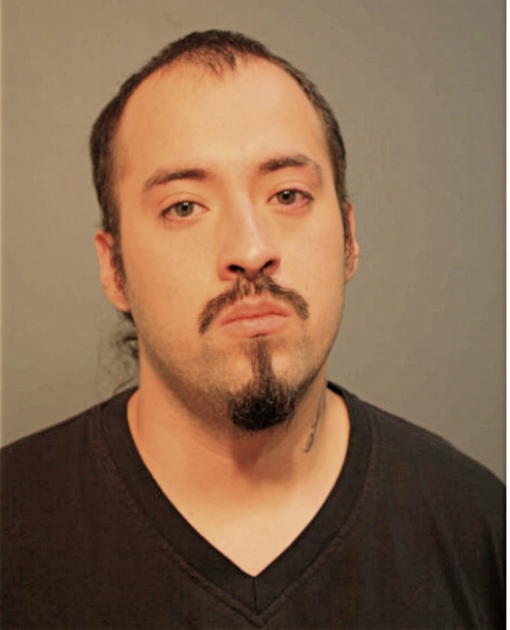 DINO VENEGAS, Cook County, Illinois
