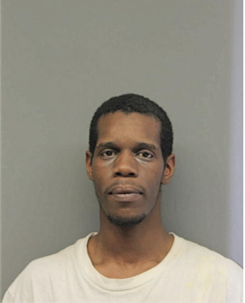 NIKKO W COLEMAN, Cook County, Illinois