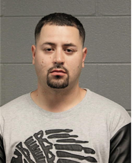LORENZO ANAYA, Cook County, Illinois