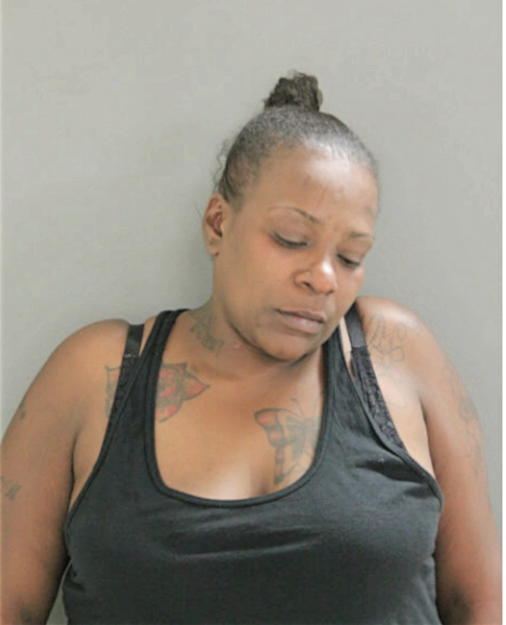 INDI ANDERSON, Cook County, Illinois