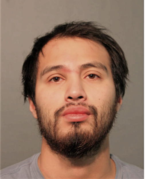 FERNANDO ARROYO, Cook County, Illinois