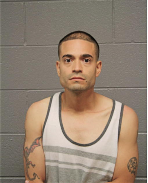 JULIO C AVILA, Cook County, Illinois