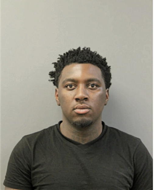 DARRAL W BAILEY, Cook County, Illinois