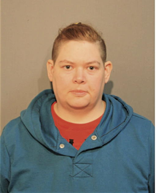 LESLIE E CUMMINS, Cook County, Illinois