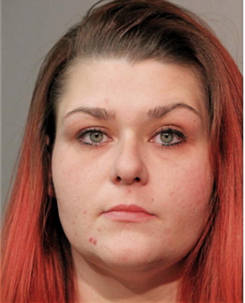 CATHERINE A DOLEHIDE, Cook County, Illinois