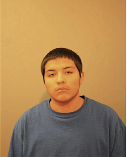 OSCAR V FLORES, Cook County, Illinois
