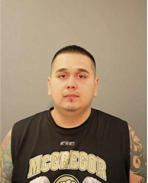 EDGAR M GUADARRAMA, Cook County, Illinois