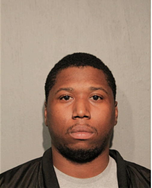 JOSEPH J HAYNES, Cook County, Illinois