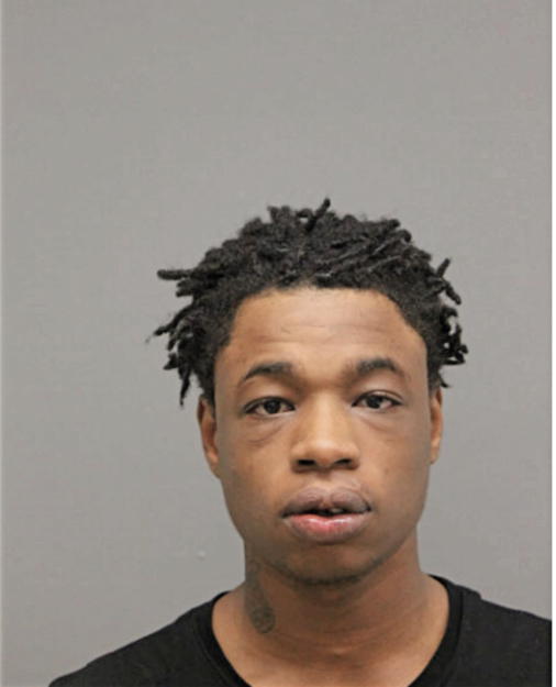 JESSE M HICKS, Cook County, Illinois
