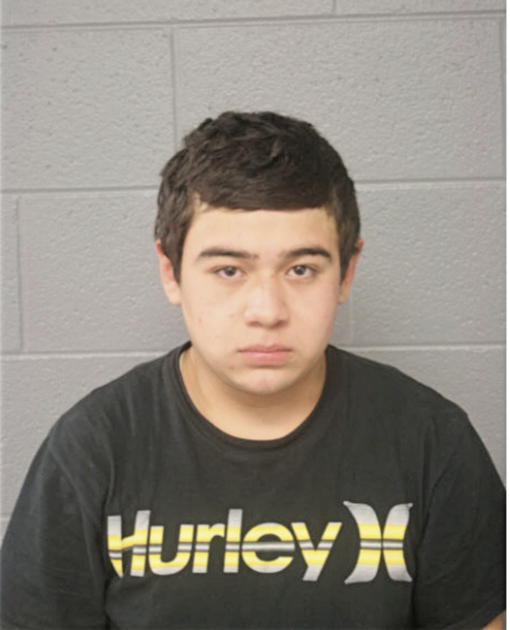 VICTOR HUGO-DIAZ, Cook County, Illinois