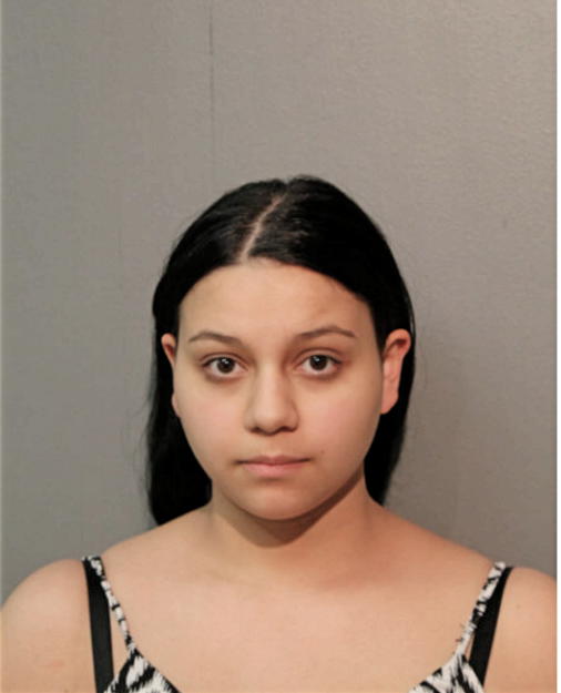 PRISCILLA A JOHNS, Cook County, Illinois