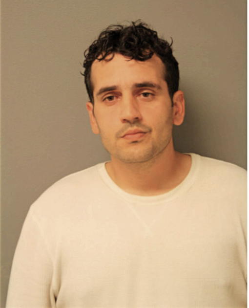 LUIS A LEBRON, Cook County, Illinois