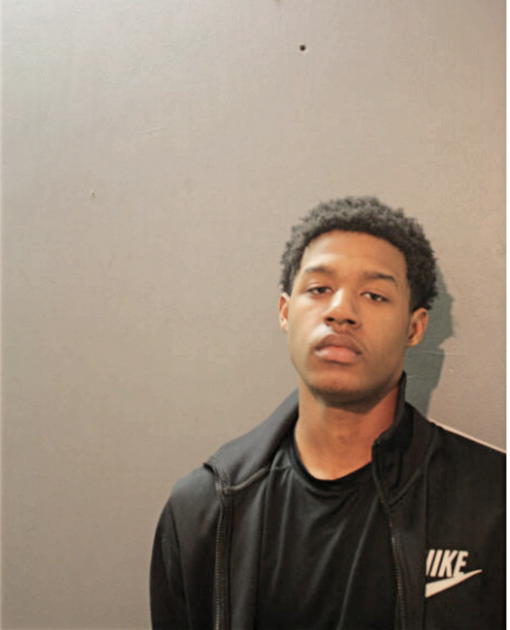 DARIUS D LEE, Cook County, Illinois