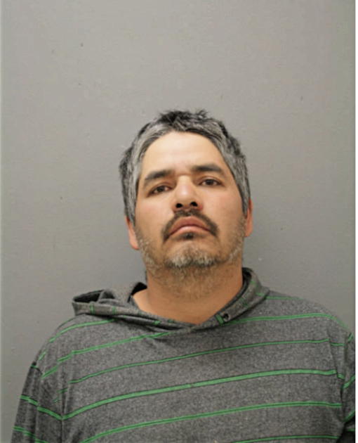 FELIPE M LOZA, Cook County, Illinois