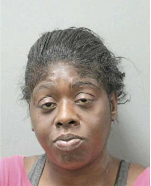 MAHOGANY T MCQUEEN, Cook County, Illinois