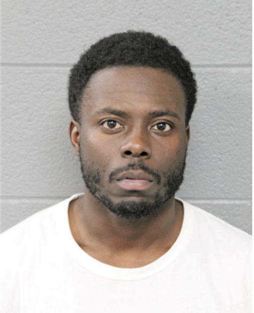 RICHARD J NANCE, Cook County, Illinois