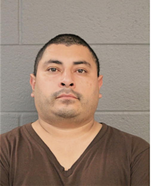 CESAR J SANCHEZ, Cook County, Illinois