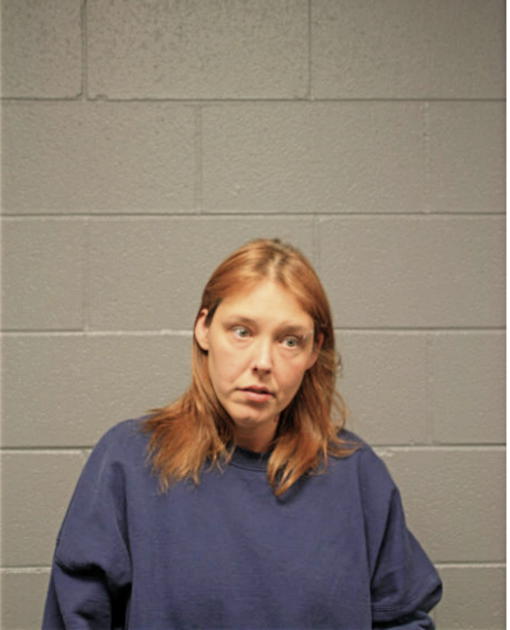 KATRINA L SEWERYNOW, Cook County, Illinois