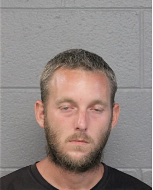 FRANK D SUMMERVILLE, Cook County, Illinois
