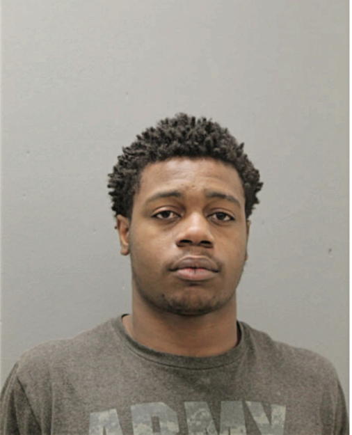 RHYSHEEN J WILSON, Cook County, Illinois