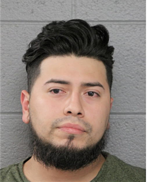 MARIO AVITIA-LUNA, Cook County, Illinois