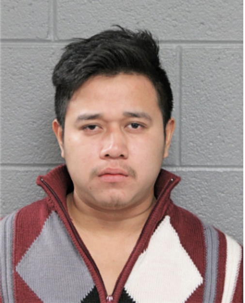 ESVIN OSVELI DE LEON GUZMA, Cook County, Illinois
