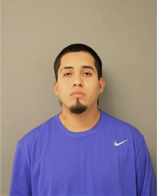 EDWIN D DOMINGUEZ, Cook County, Illinois