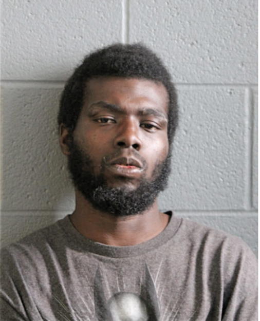 TERRELL FORT, Cook County, Illinois
