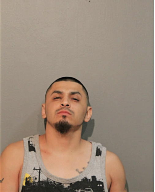 ELOY E FUENTES, Cook County, Illinois