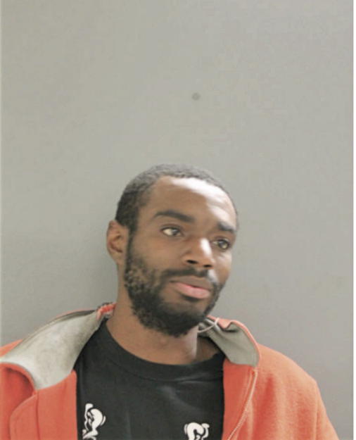 DIETRICH D HANSON, Cook County, Illinois