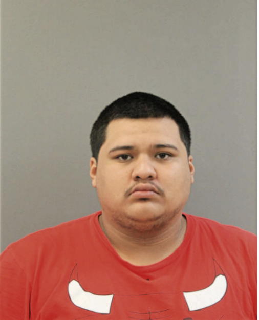VICTOR J HERNANDEZ, Cook County, Illinois