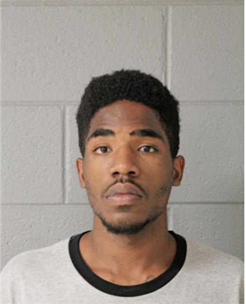 BRANDON L HUGHES, Cook County, Illinois
