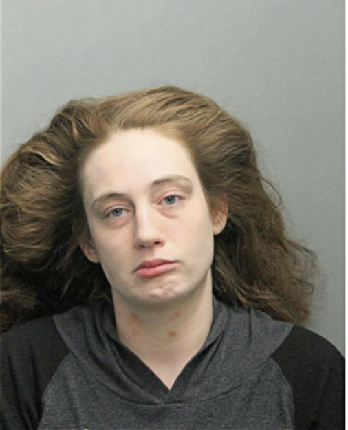 BRITTANY M HYC, Cook County, Illinois