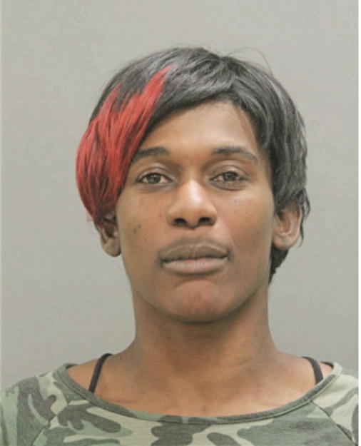 KEILA C JOHNSON, Cook County, Illinois