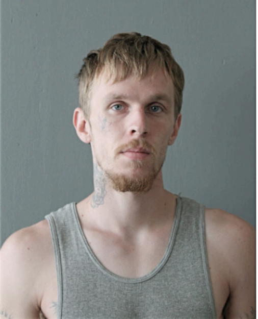 MICHAEL L LANZ, Cook County, Illinois