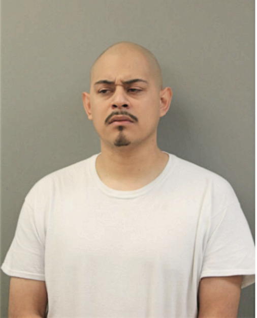 JORGE L LARA, Cook County, Illinois