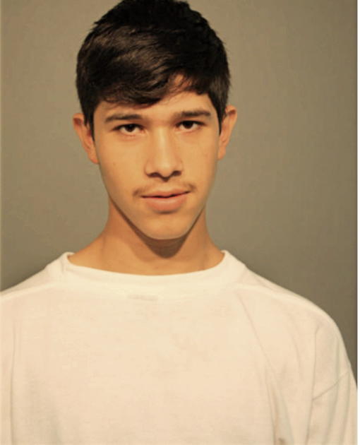 GILBERTO MARTINEZ, Cook County, Illinois