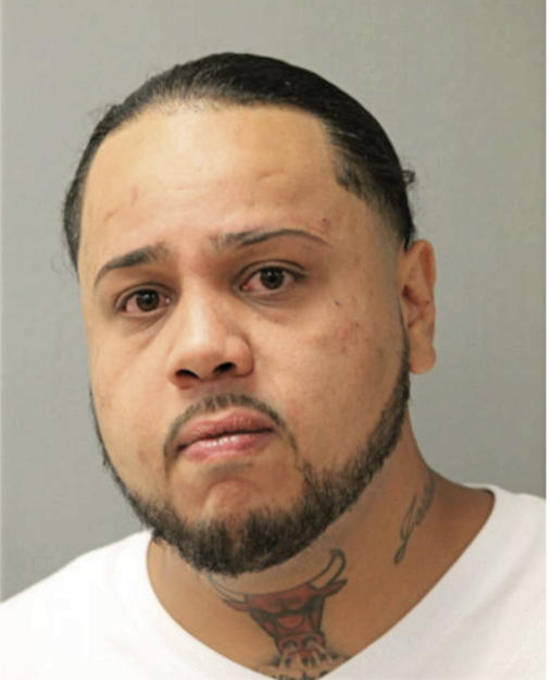 LUIS A MONTANEZ, Cook County, Illinois