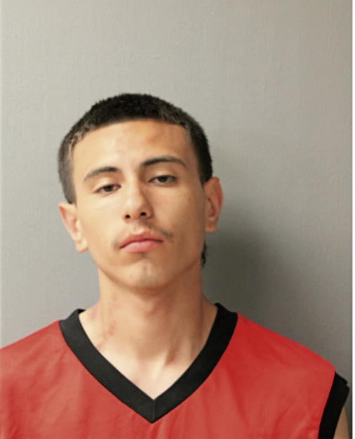 DIEGO PEREZ, Cook County, Illinois