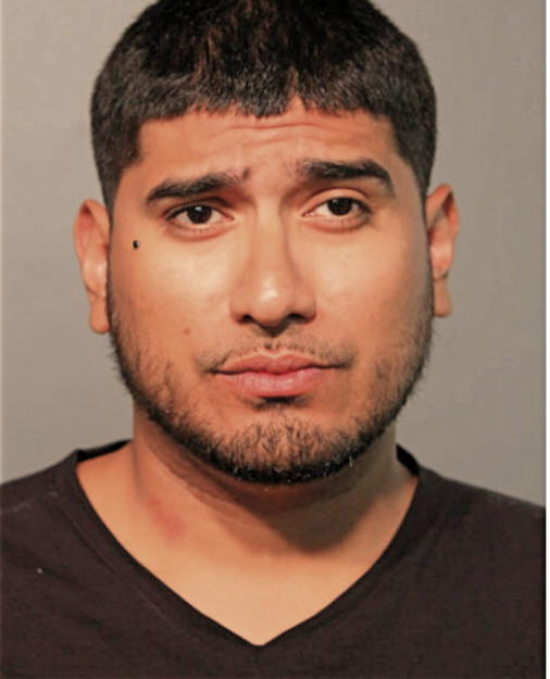 MICHAEL POGGIO, Cook County, Illinois