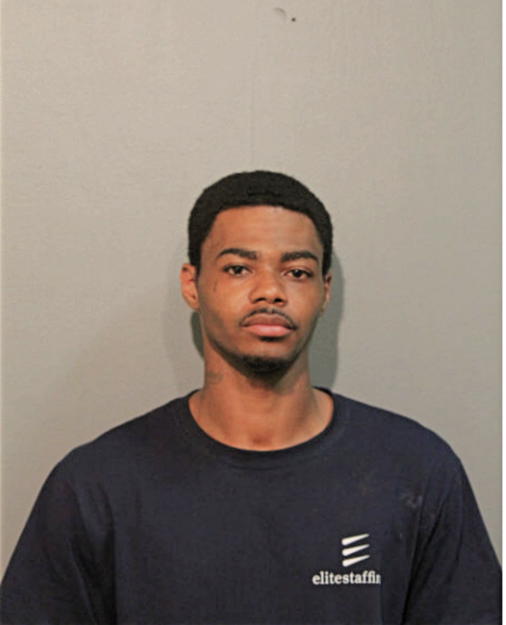 LARRY L POWELL, Cook County, Illinois