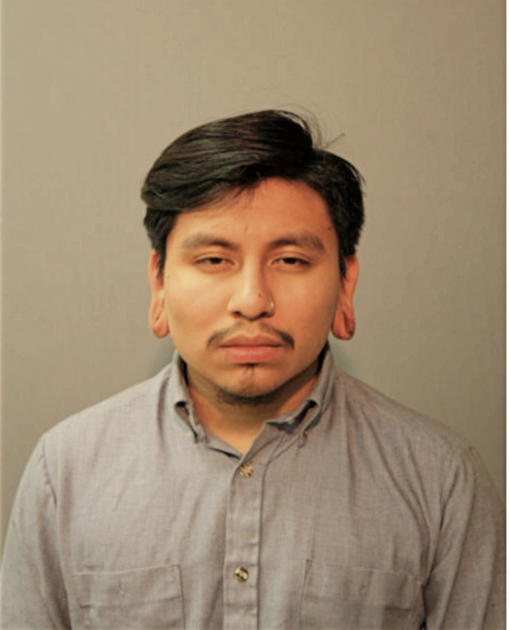 DANIEL F RAMIREZ-ARRIAGA, Cook County, Illinois