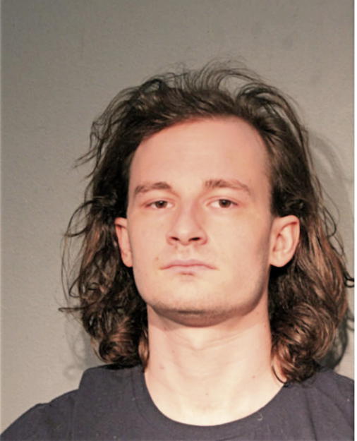 IAN C REYNERTSON, Cook County, Illinois