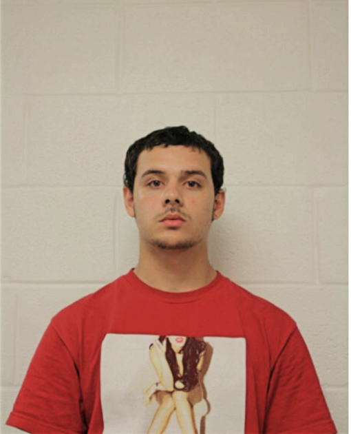 PABLO A RIVERA, Cook County, Illinois