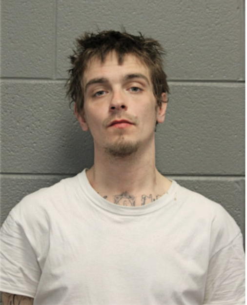 NICHOLAS J ROBERTO, Cook County, Illinois