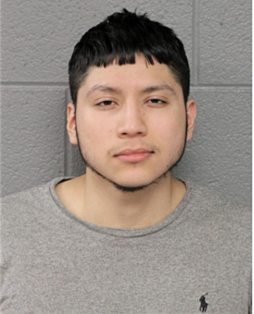 ABIEL ROMAN, Cook County, Illinois