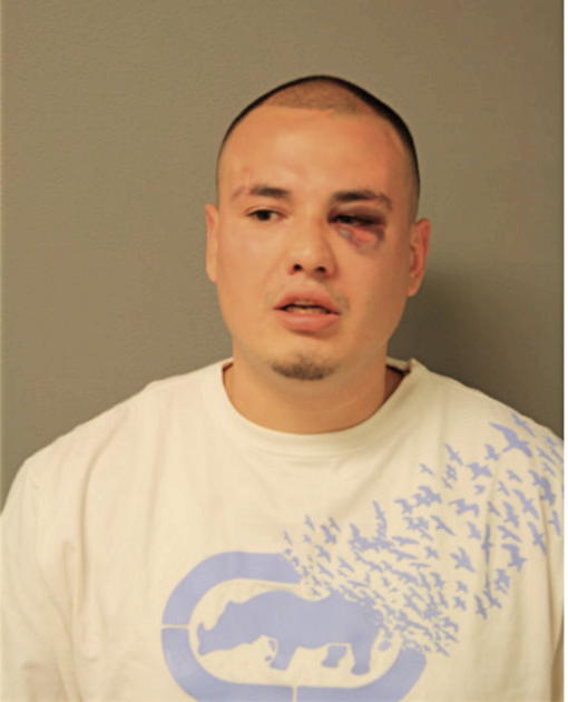 IVAN TORRES, Cook County, Illinois