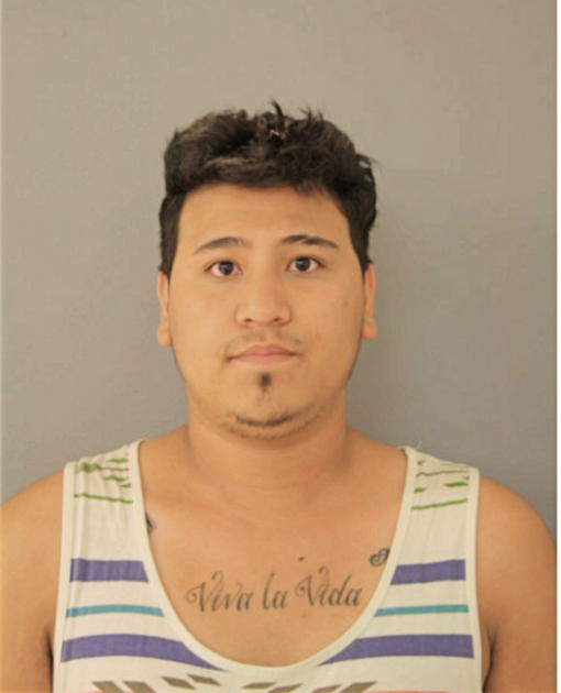 CARLOS VEGA, Cook County, Illinois