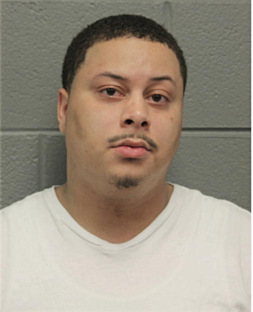 TROYCE E WILLIAMS, Cook County, Illinois