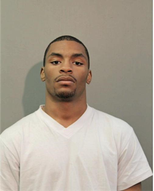 JONATHAN E WILSON, Cook County, Illinois